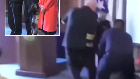 Narkotik köpeği mezuniyet merasiminde tümamirale saldırdı, “Cebinde ne vardı” sorusu ülkeyi karıştırdı